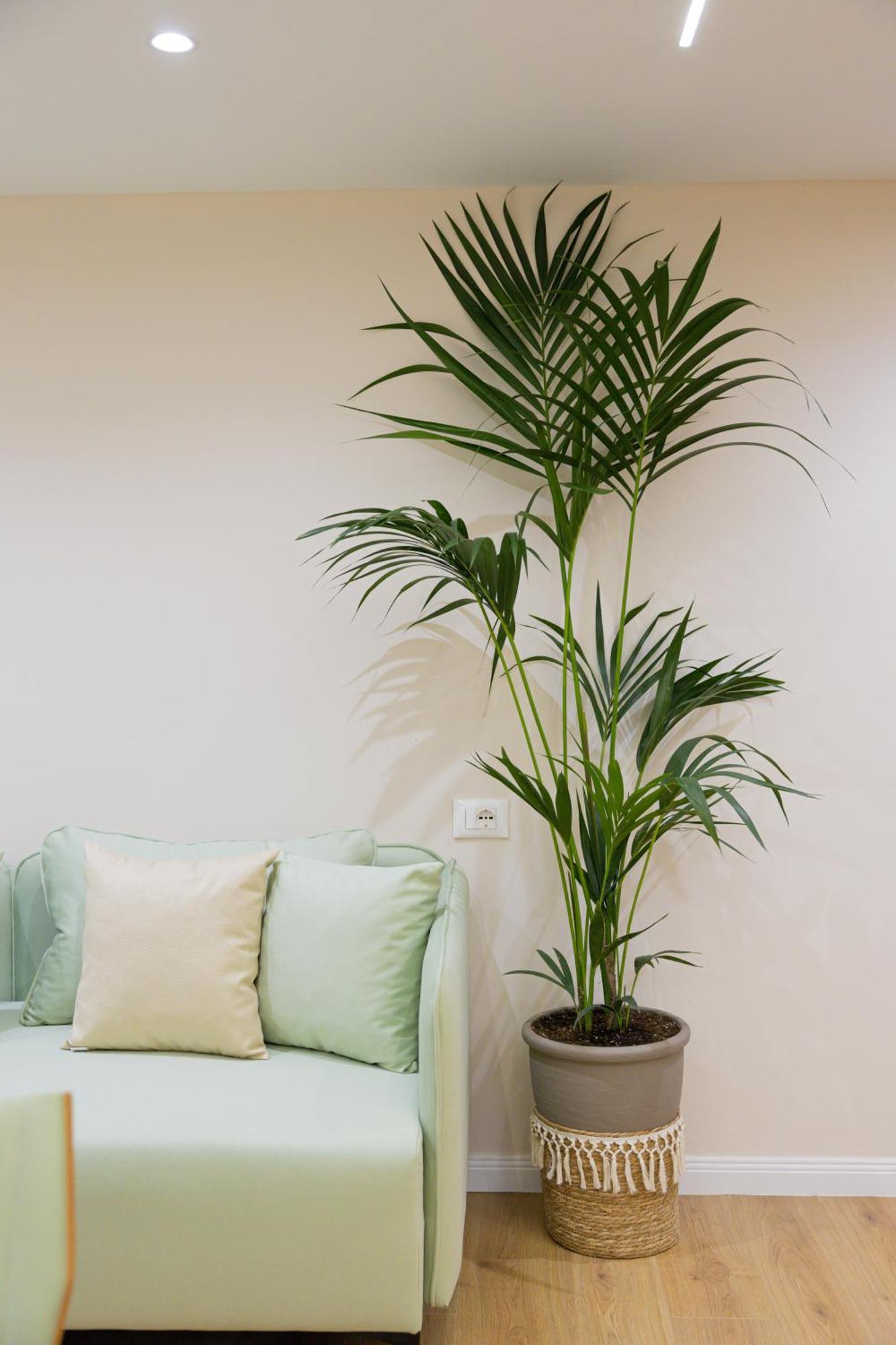 Arial Lofts 3*